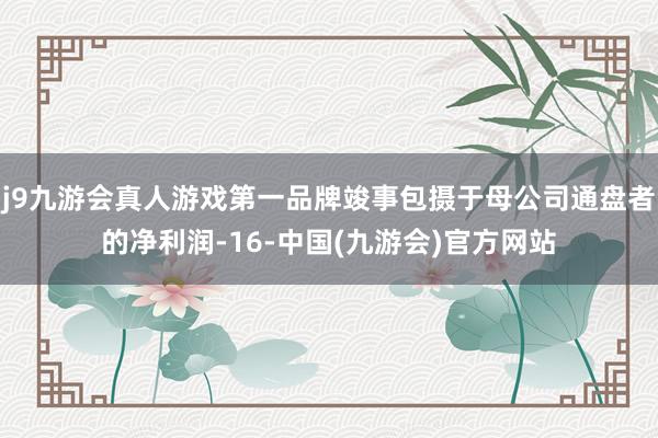 j9九游会真人游戏第一品牌竣事包摄于母公司通盘者的净利润-16-中国(九游会)官方网站