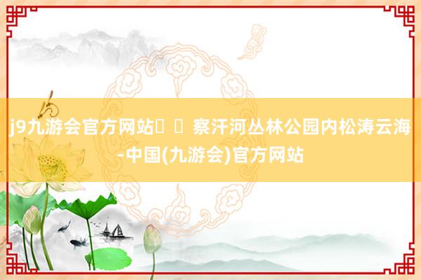 j9九游会官方网站  察汗河丛林公园内松涛云海-中国(九游会)官方网站