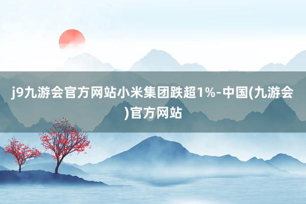 j9九游会官方网站小米集团跌超1%-中国(九游会)官方网站